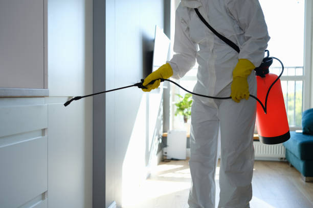 Best Residential Mold Remediation in East Dubuque, IL