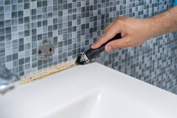 Best Black Mold Remediation in East Dubuque, IL